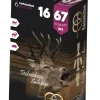 BALLES FLECHE SAUVESTRE 16/67X6