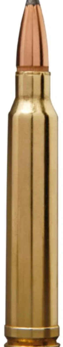 BALLES 222REM PP 50GR