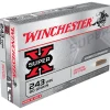 BALLES 243WIN PP 80G
