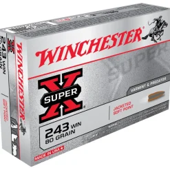 BALLES 243WIN PP 80G