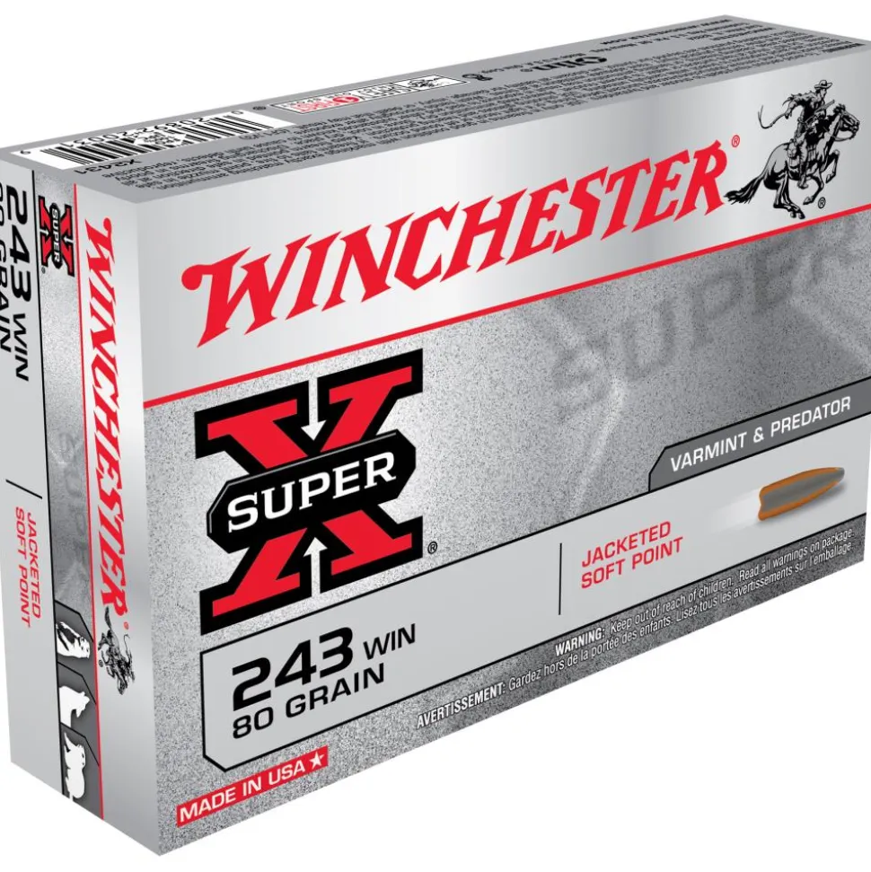 BALLES 243WIN PP 80G