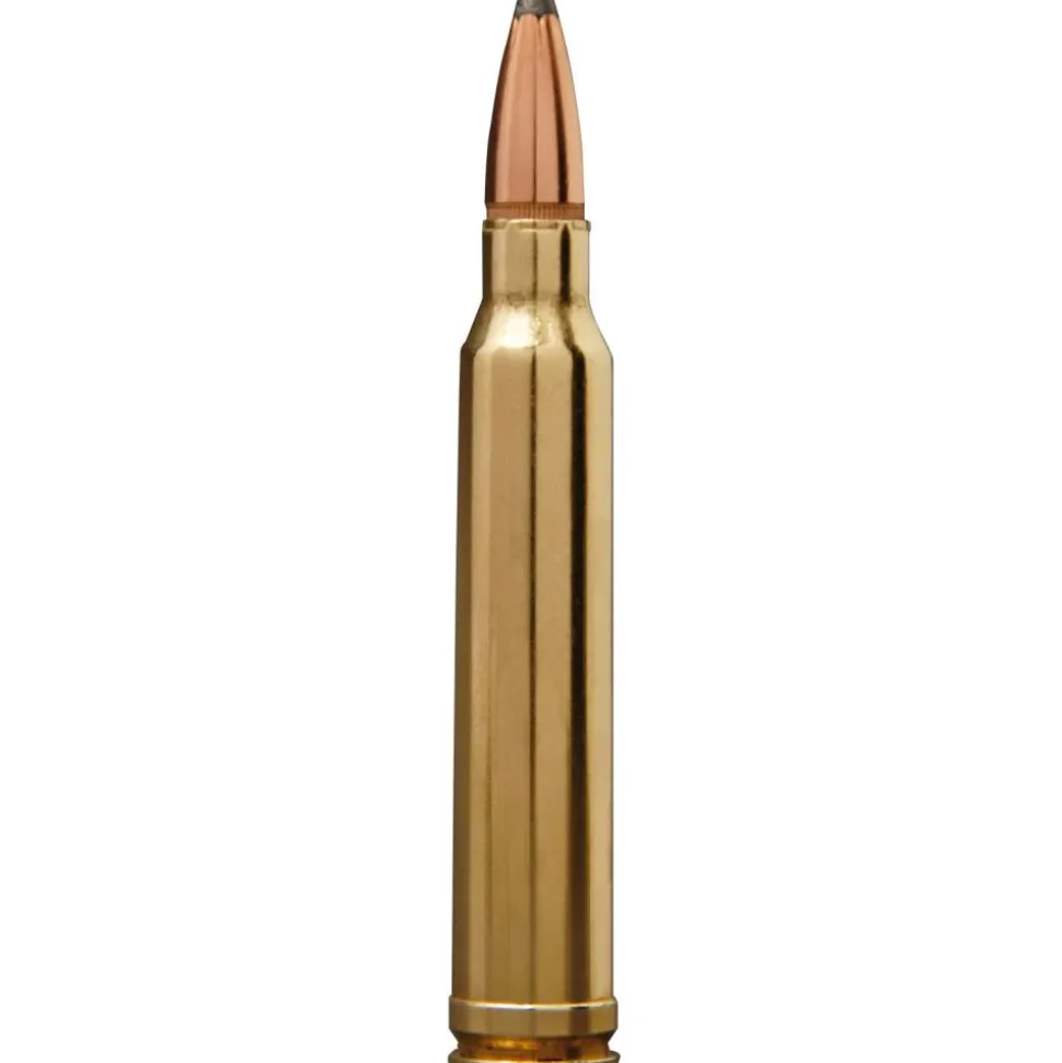 BALLES 243WIN PP 80G