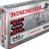 BALLES 243WIN PP 100GR