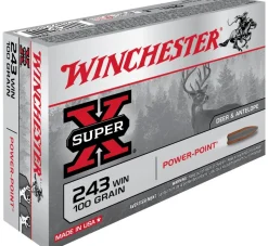 BALLES 243WIN PP 100GR