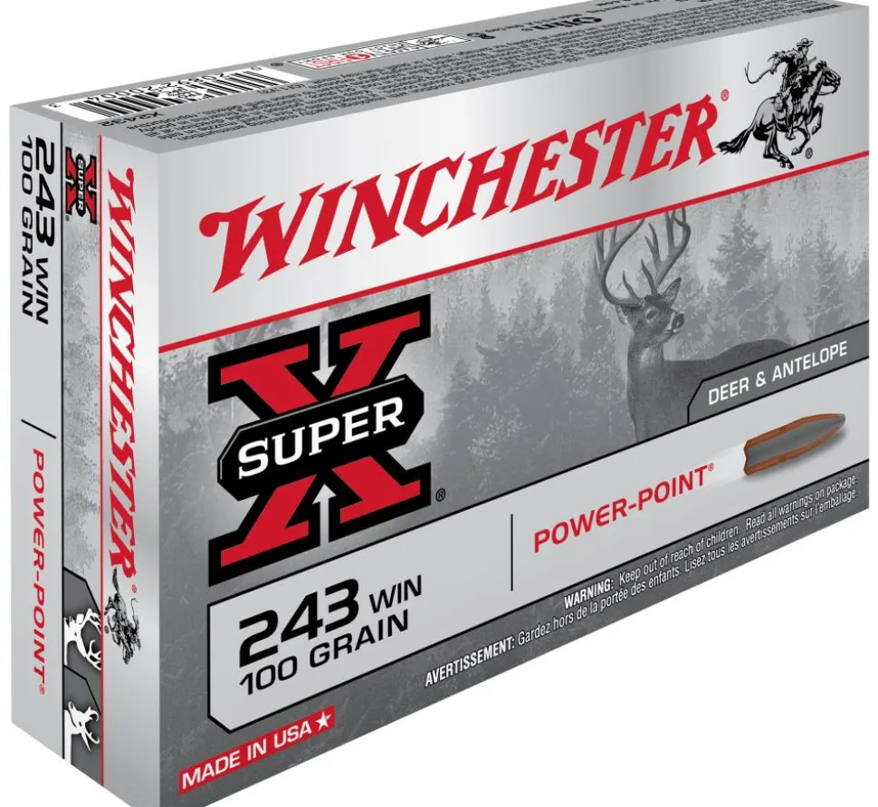 BALLES 243WIN PP 100GR