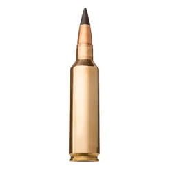 BALLES 300WM EXTREME POINT 180GR