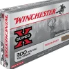 BALLES 300WM PP 180GR