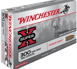 BALLES 300WM PP 180GR