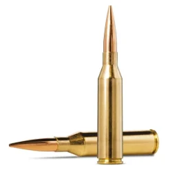 BALLES 270WSM WHITETAIL 130GRS
