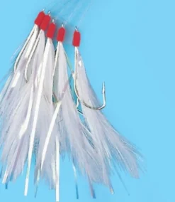 BAS DE LIGNE PLUME FILAMENT 5 HAM 2