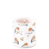 BOUGIE FAMILLE DOISEAUX PM
