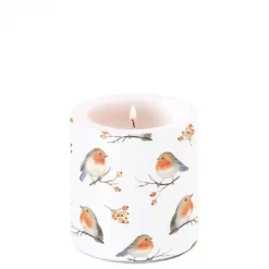 BOUGIE FAMILLE DOISEAUX PM