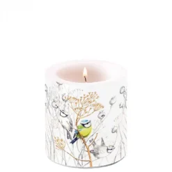 BOUGIE PETITS OISEAUX PM