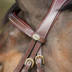 BRIDON ANATOMIC HAVANE