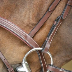 BRIDON ANATOMIC HAVANE
