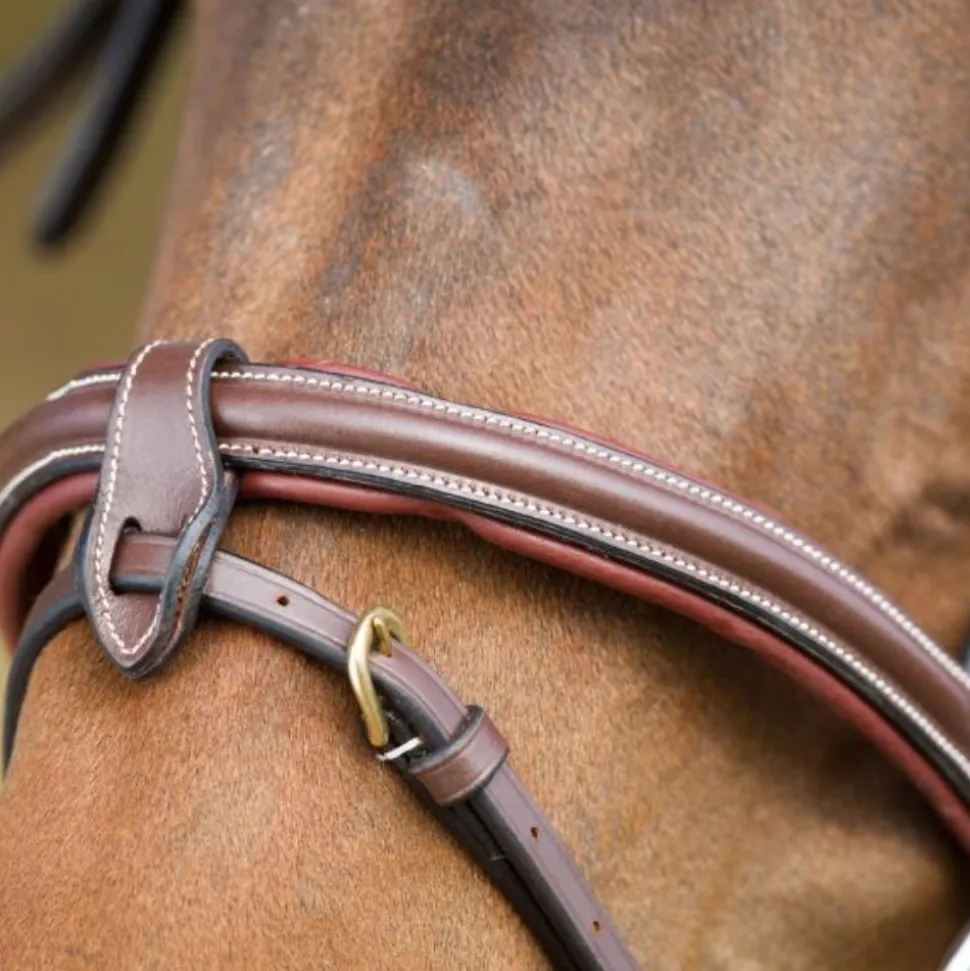 BRIDON ANATOMIC HAVANE