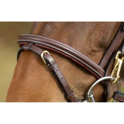 BRIDON CUIR FONCTIONAL HAVANE