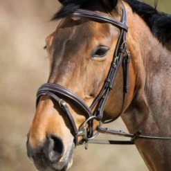 BRIDON ELEGANT MARRON