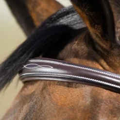 BRIDON ELEGANT MARRON