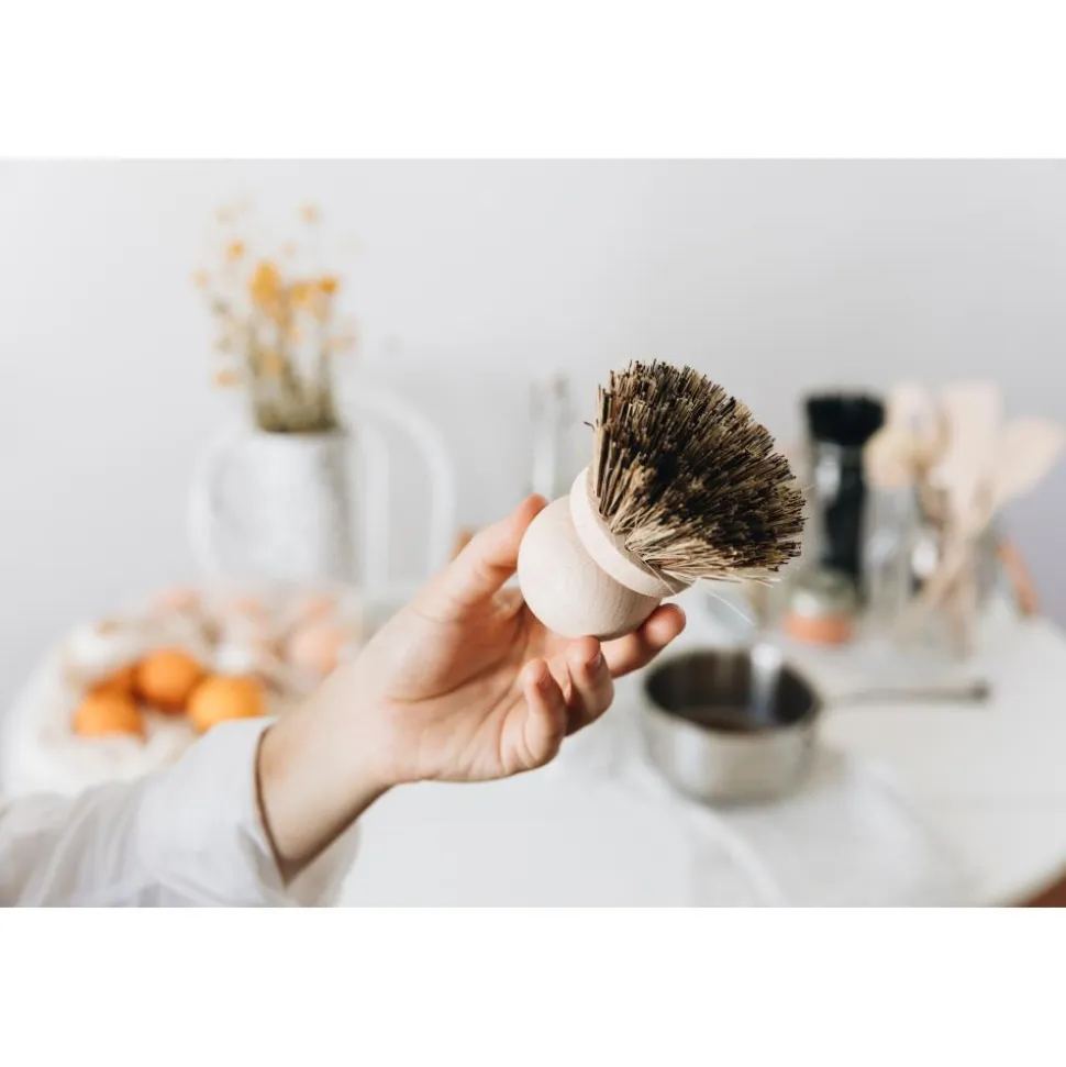BROSSE A CASSEROLE