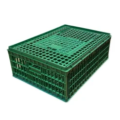 CAGE TRANSPORT OIE 96X57X42