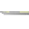 CANNE AU COUP CARPE TORQUE CARP POWER 6M