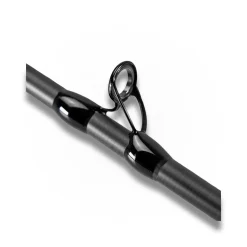 CANNE CAST LA MOUSTIQUE 2M30 20-80G