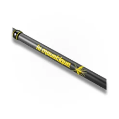 CANNE CAST LA MOUSTIQUE 2M30 20-80G