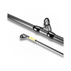 CANNE CAST LA MOUSTIQUE 2M20 15-50G