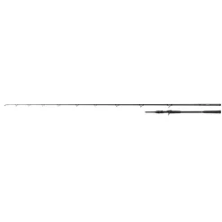 CANNE CASTING PRISM X BIG BAIT 2M40 230G