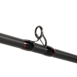 CANNE CASTING PRISM X BIG BAIT 2M40 230G