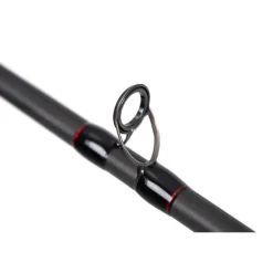 CANNE CASTING PRISM X HEAVY SHAD 2M25 20-100G