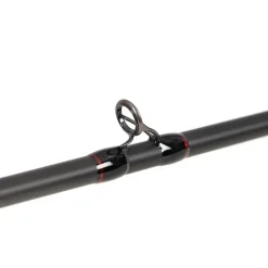 CANNE CASTING PRISM X HEAVY SHAD 2M25 20-100G