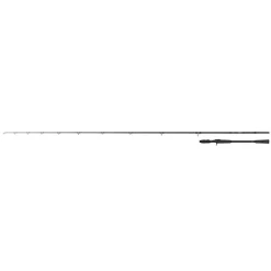 CANNE CASTING PRISM X PIKE 2M30 40-140G