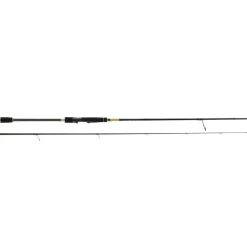 CANNE CEYMAR SW 2M74 14/42G