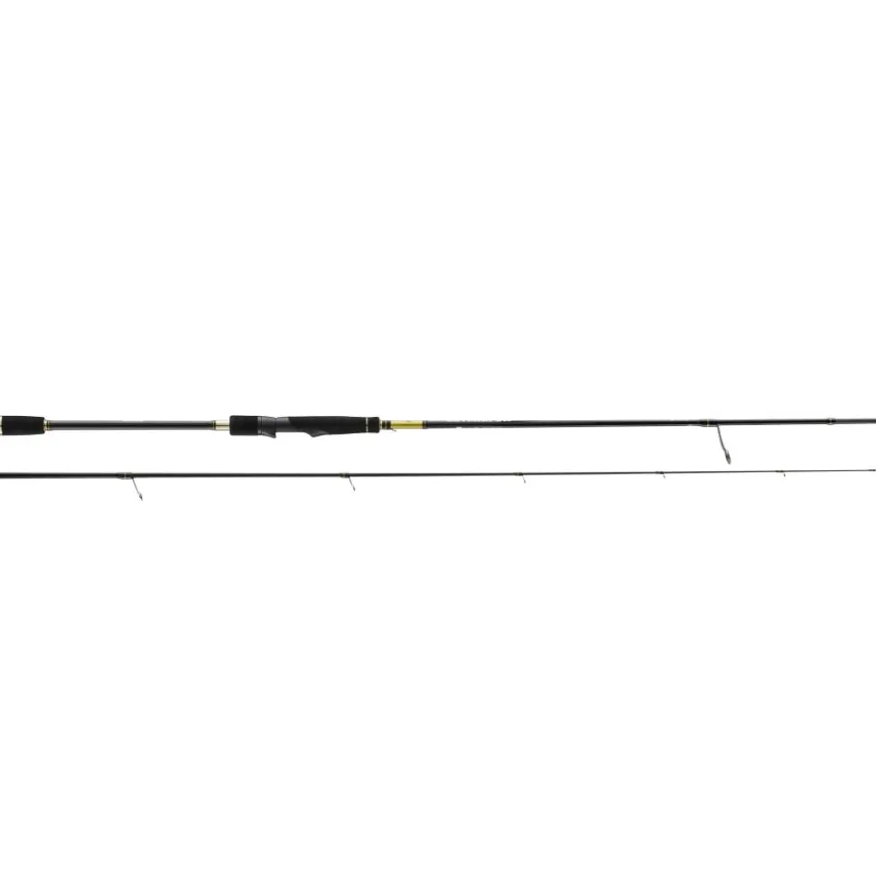 CANNE CEYMAR SW 2M74 14/42G