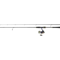 CANNE CT SEABASS + MOULINET TSUKI