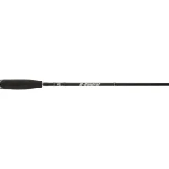 CANNE G-CONTROL 2M74 H 30/80G