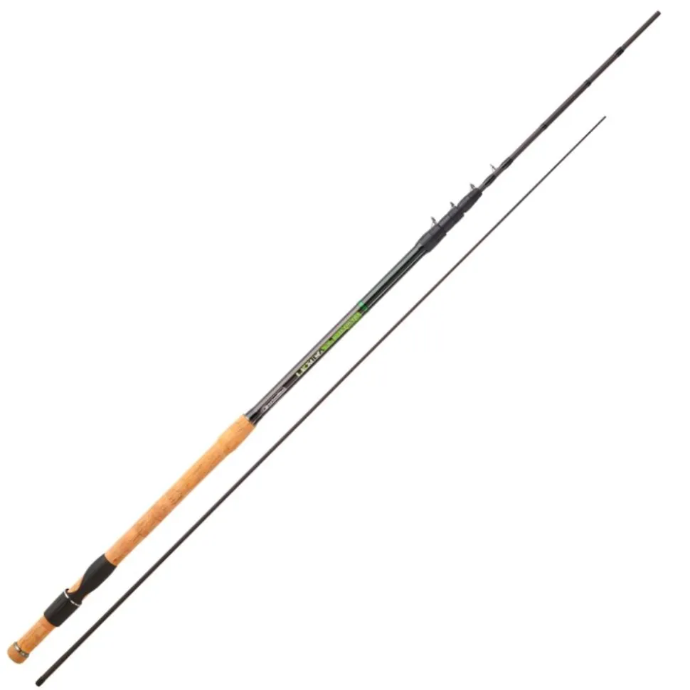 CANNE LEXICA RC 4M10
