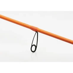 CANNE ORANGE LTD 2M21 50/100G