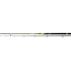 CANNE PERFECT PASSION SPIN 2M70 60/200G