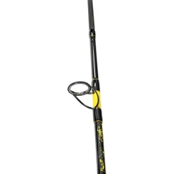 CANNE PERFECT PASSION SPIN 2M70 60/200G