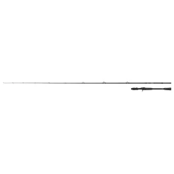 CANNE PRISM C VERSATILE 2M10 15-60G