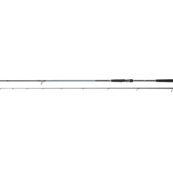 CANNE SPINNING CALDIA SEABASS 2M21 10-35G