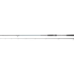 CANNE SPINNING CALDIA SEABASS 2M13 28-84G