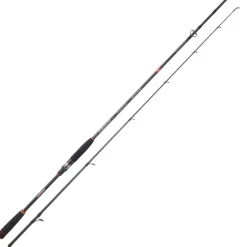 CANNE SPINNING RYOKAN 742 XH 2M24 14/70G