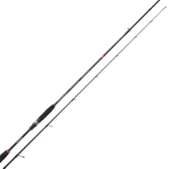 CANNE SPINNING RYOKAN FW 702 M 2,13M 5/21G