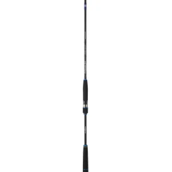 CANNE SPINNING RYOKAN SW 902 H 2M74 15/50G