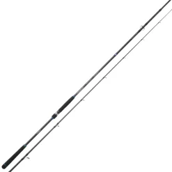 CANNE SPINNING RYOKAN SW 1002H 3M 15/60G