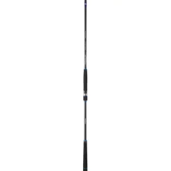 CANNE SPINNING RYOKAN SW 1002H 3M 15/60G